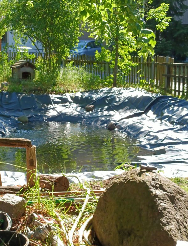 Schulgartenteich