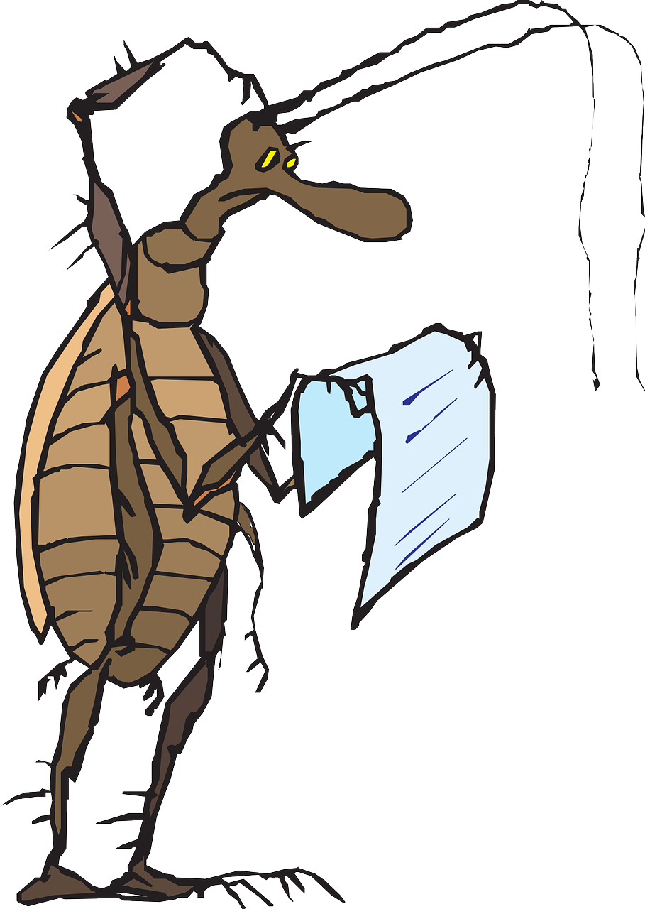 head-46204_1280
