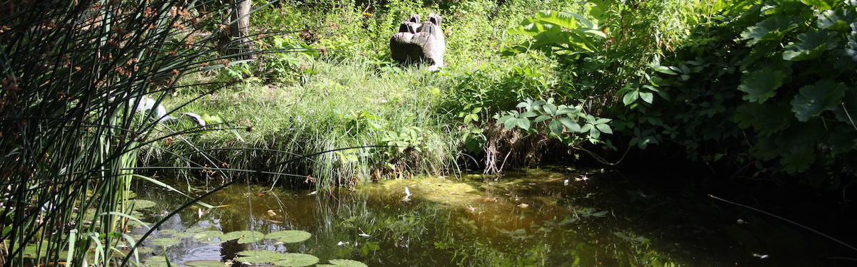 Foerderkreis/Teich1.jpg